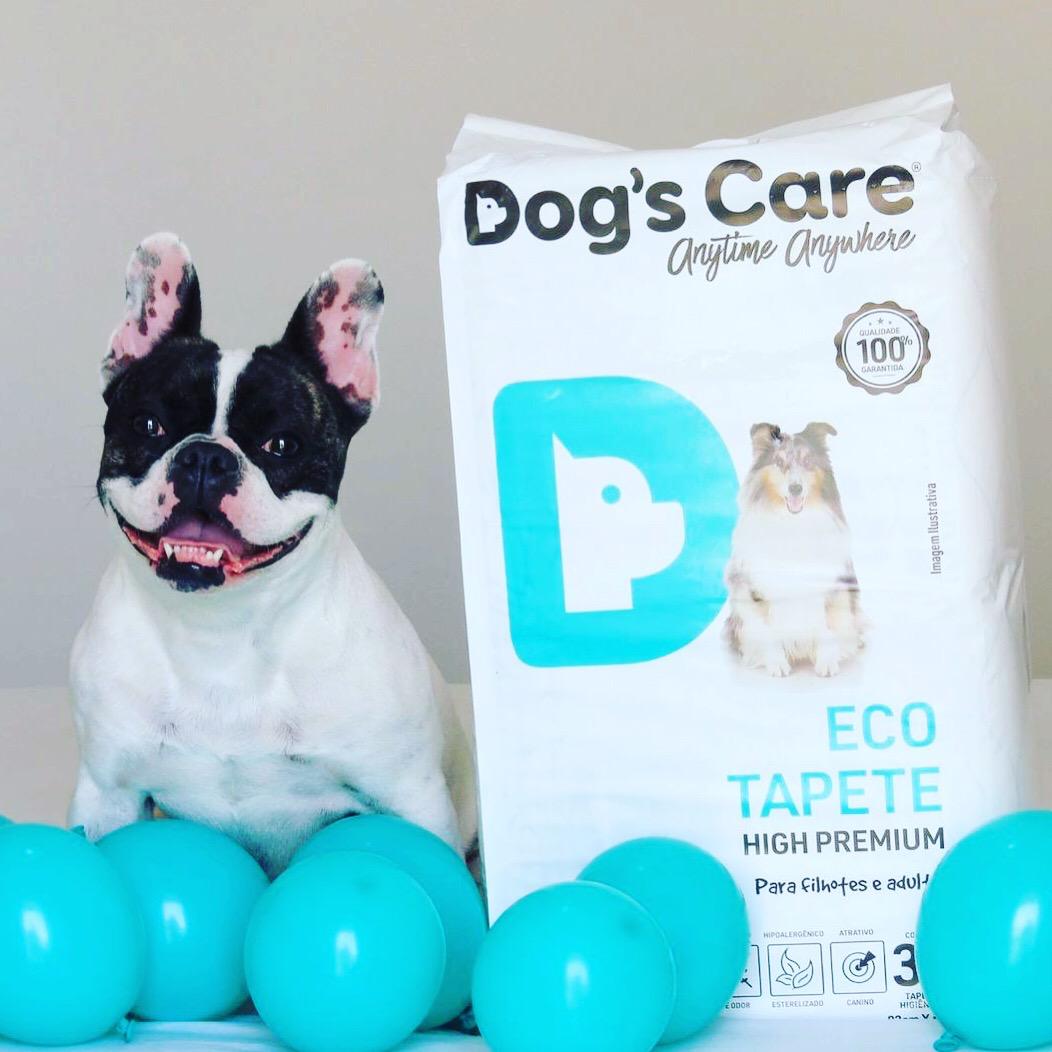 Dog’s Care participa do Au-Audi, evento para cães e donos que discute sustentabilidade no mercado pet