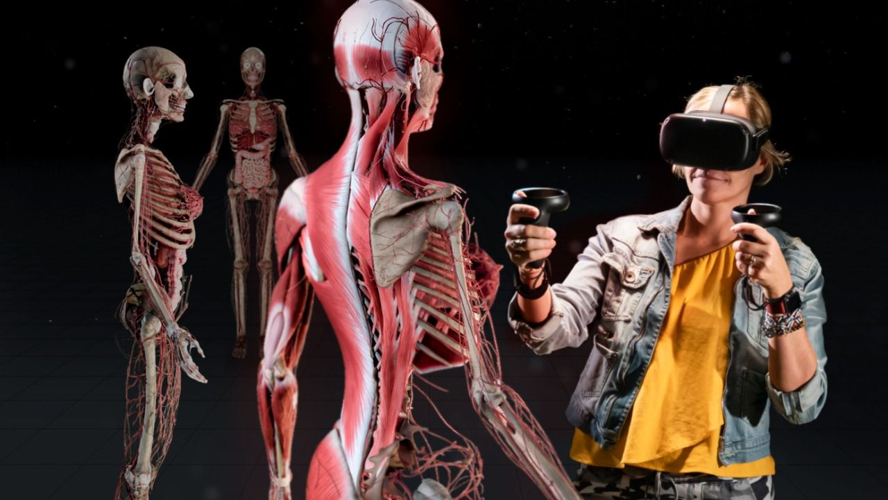 MedRoom amplia tecnologia de Realidade Virtual para EAD