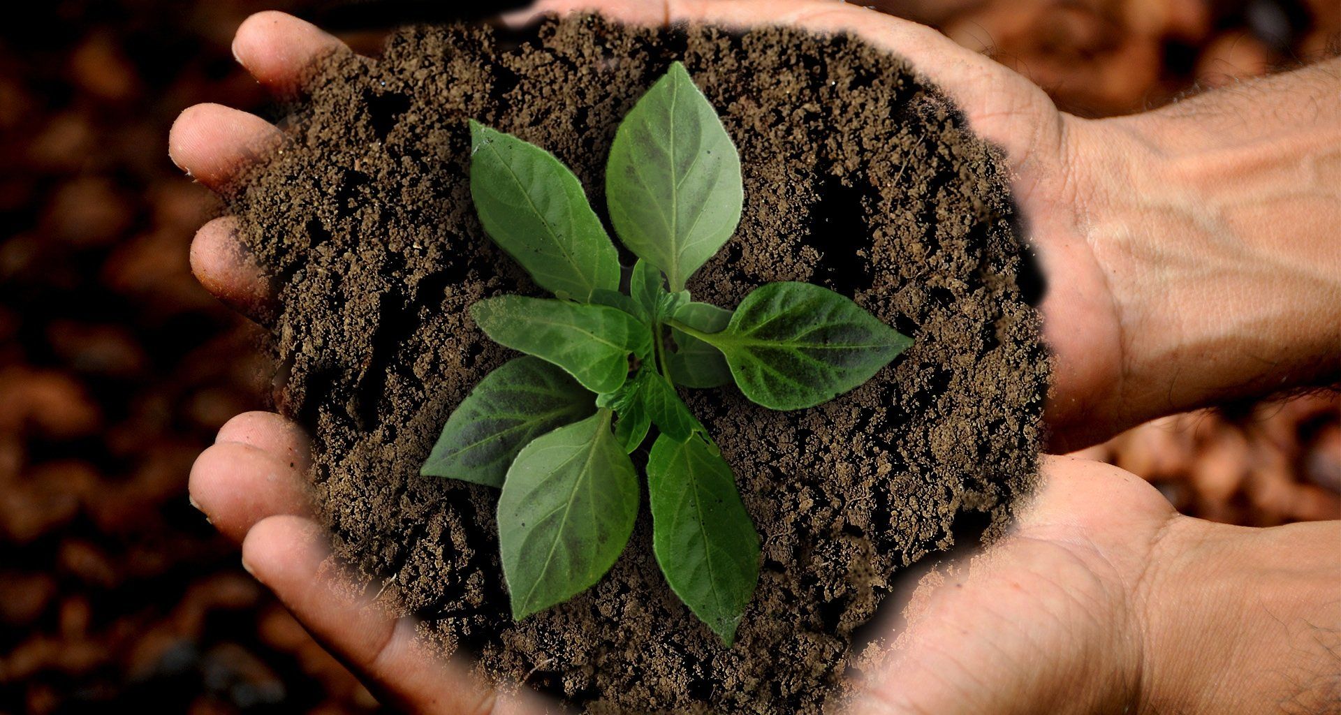 Neutralidade de carbono e sustentabilidade são objetivos possíveis na cadeia industrial do leite