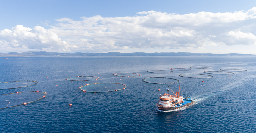 Hikvision auxilia na segurança de produtos de frutos do mar