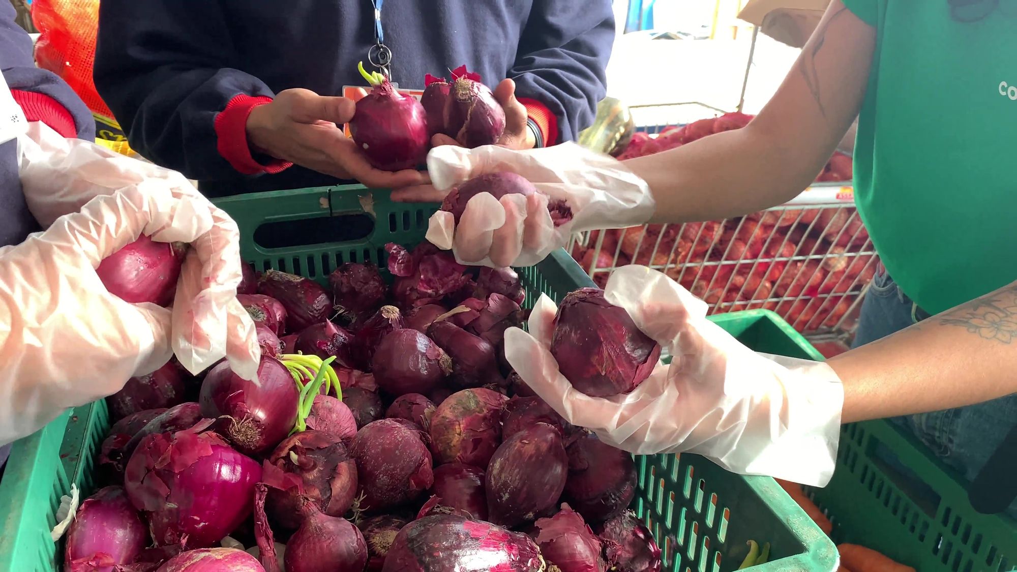 Connecting Food distribui mais de 2,6 mil toneladas de alimentos na região sudeste no último ano